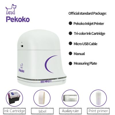 DIY Customized Color Printer